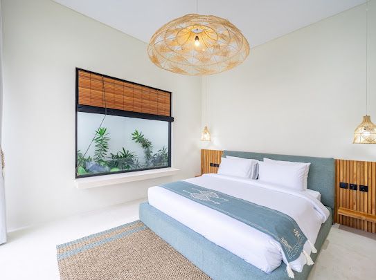 WhatsApp Image 2025-06-30 at 21.33.56