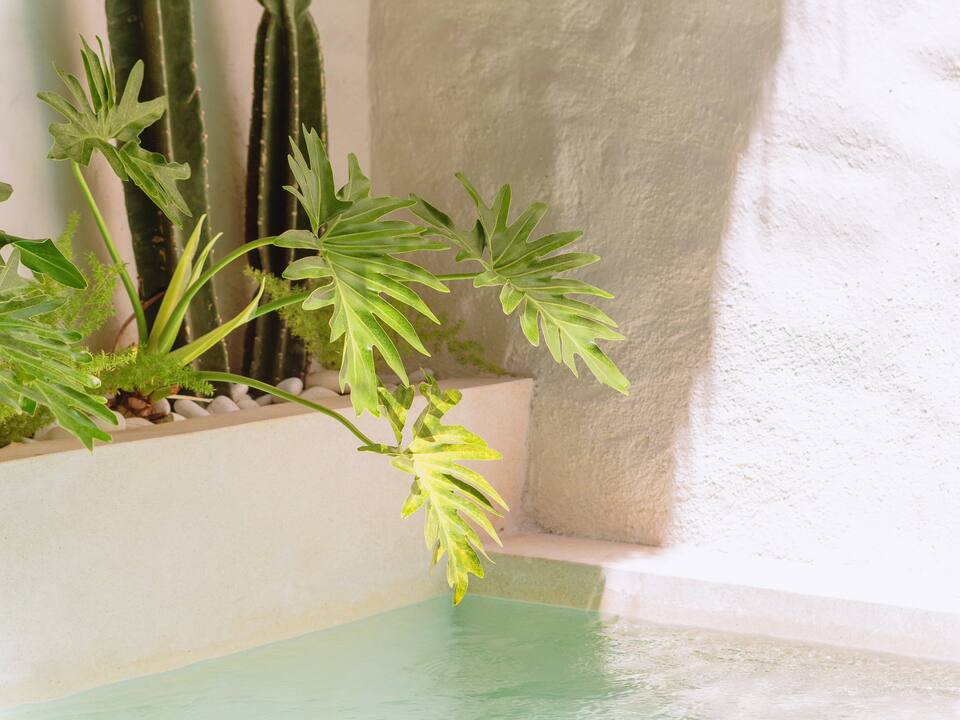 3d1c220c-c721-4ee2-8397-2dc9909a7d1d